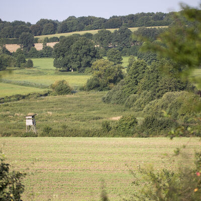 Ein Jägerstand steht auf einem grünen Feld, das von Bäumen und Büschen umrahmt ist.