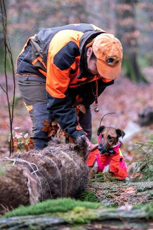 Zu sehen ist eine Person in Warnkleidung gemeinsam mit ihrem Hund. Sie befinden sich im Wald bei einer Übung.
