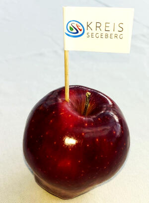 Zu sehen ist ein roter Apfel, in dem ein kleines Papier-Fähnchen mit der Logo des Kreises Segeberg steckt.