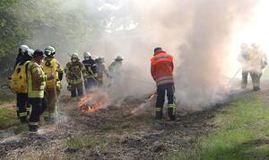 Feuerwehrleute bei einer Realbrandbekämpfung im Segeberger Forst bei Heidmühlen.