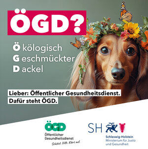 Ein Dackel ist mit Blumen geschmückt. Daneben stehen die Buchstaben ÖGD.