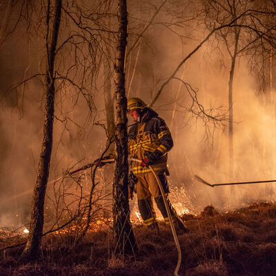 Zwei Feuerwehrmänner löschen im Dunkeln einen Waldbrand.