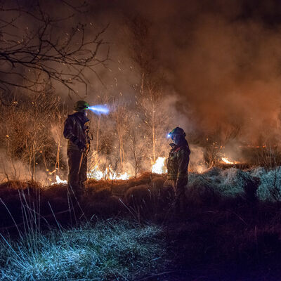 Mehrere Feuerwehrleute stehen bei Nacht vor einem Waldbrand.