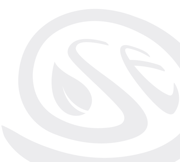 Die Buchstaben S und E in hellgrau von einem Kreis umrandet.