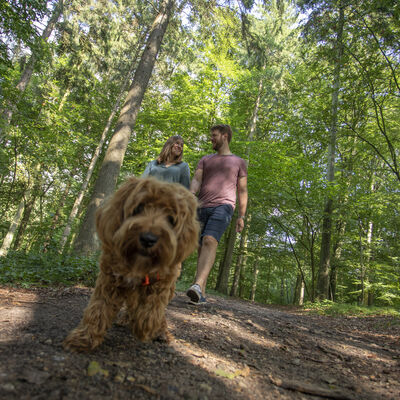 Spaziergänger*innen mit Hund im Wald in der Nähe von Kaltenkirchen.