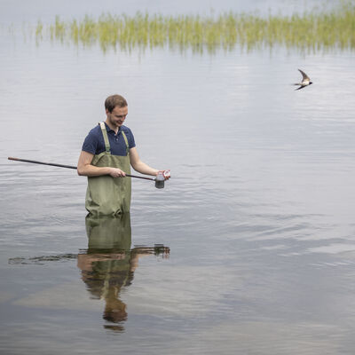 Mitarbeiter der Infektionsschutzes nimmt eine Gewässerprobe. Im Hintergrund fliegt eine Schwalbe über den See.